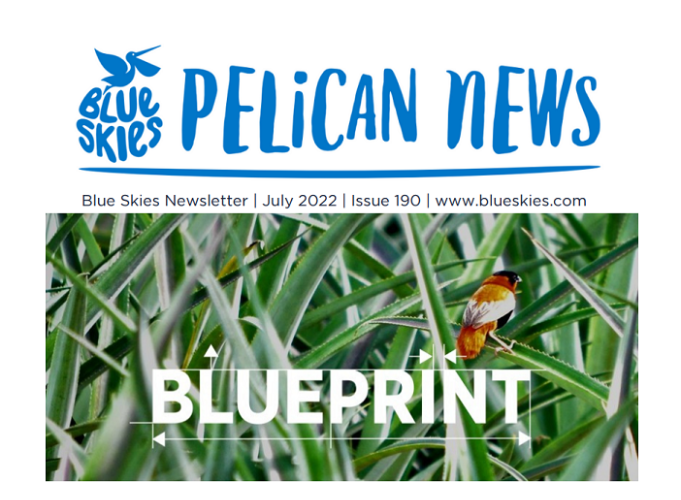 Download our July Newsletter